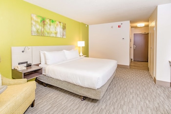 Room, 1 King Bed, Accessible (Mobility & Hearing, Roll-in Shower)