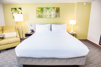 Room, 1 King Bed, Accessible, Bathtub (Mobility & Hearing)