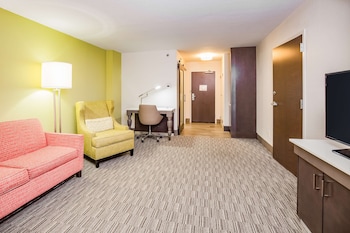 Suite, 1 King Bed