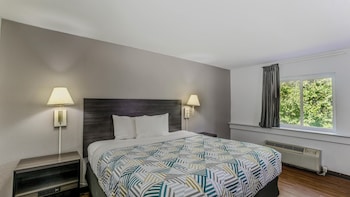 Standard Room, 1 King Bed, Accessible, Non Smoking