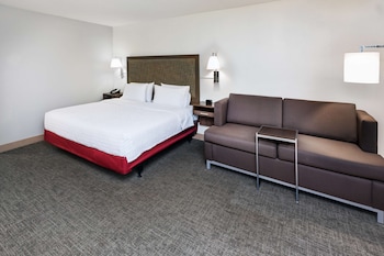 Room, 1 King Bed with Sofa bed, Accessible (Roll-In Shower)
