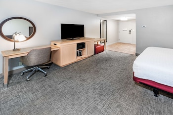 Room, 1 King Bed with Sofa bed, Accessible (Roll-In Shower)