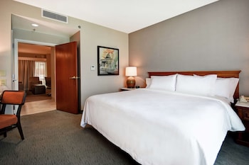 Standard Suite One King and One Sofa Bed Non-Smoking
