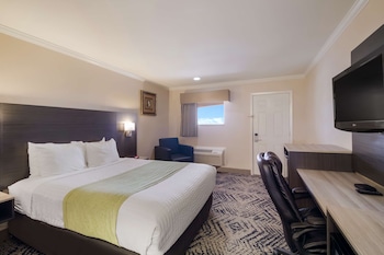 Standard Room, 1 Queen Bed, Non Smoking, Refrigerator & Microwave