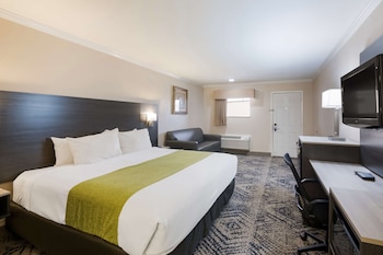 Standard Room, 1 King Bed, Non Smoking, Refrigerator & Microwave (with Sofabed)