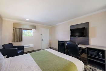 Standard Room, 1 Queen Bed, Non Smoking, Refrigerator & Microwave