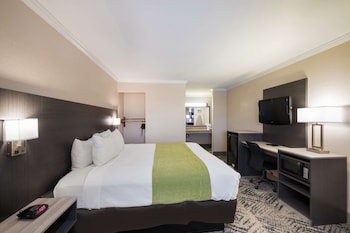 Standard Room, 1 King Bed, Accessible, Non Smoking