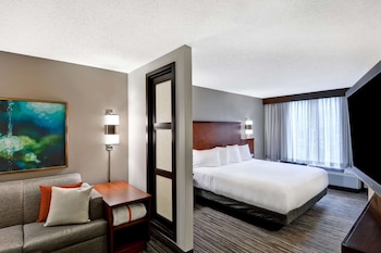Guest Room, Room, 1 King Bed