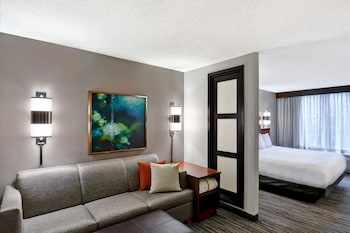 Guest Room, Room, 1 King Bed