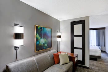 Room, 1 King Bed, Accessible, Bathtub