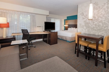 Studio, 1 King Bed with Sofa bed (Mobility/Hearing Access, Roll-in Shwr)