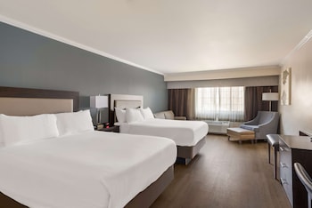 Standard Room, Multiple Beds, Non Smoking, Refrigerator & Microwave (with Sofabed)