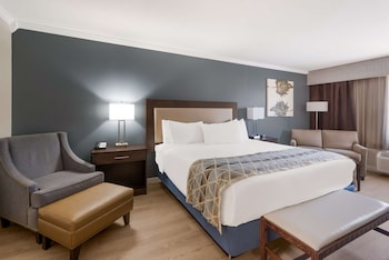Standard Room, 1 Queen Bed, Non Smoking, Refrigerator & Microwave