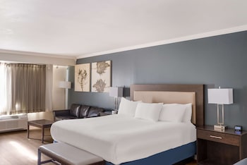 Standard Room, 1 King Bed, Non Smoking, Refrigerator & Microwave