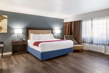 Standard Room, 1 King Bed, Accessible, Non Smoking