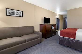 Room, 1 King Bed with Sofa bed, Non Smoking