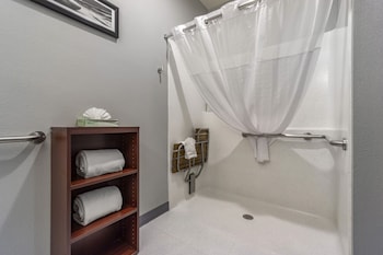 Room, 1 King Bed, Accessible, Non Smoking