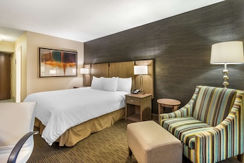 Standard Room, 1 King Bed, Accessible, Non Smoking