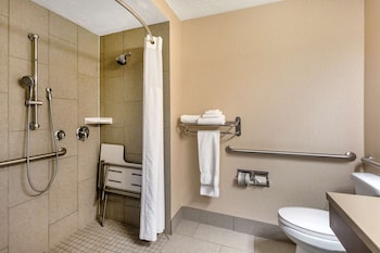 Standard Room, 1 King Bed, Accessible, Non Smoking
