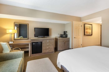 Standard Room, 1 King Bed, Non Smoking, Refrigerator