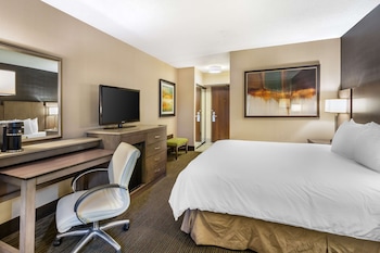 Standard Room, 1 King Bed, Accessible, Non Smoking