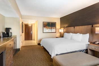 Standard Room, 1 King Bed, Non Smoking, Refrigerator
