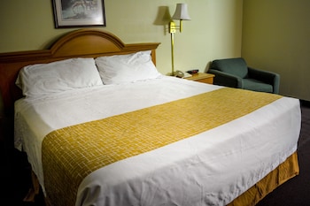 Room, 1 King Bed, Non Smoking