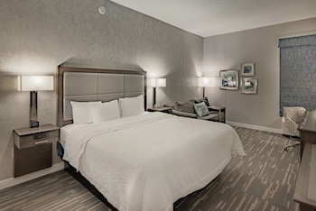 Room, 1 King Bed, Accessible, Non Smoking