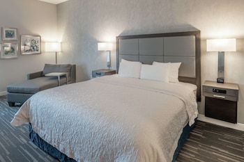Room, 1 King Bed, Accessible, Non Smoking