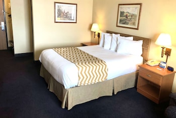 Business Room, 1 King Bed, Non Smoking