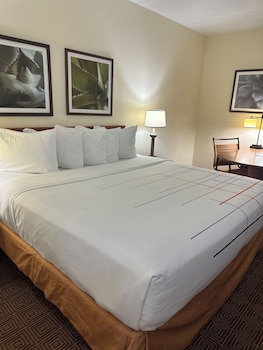 Room, 1 King Bed, Non Smoking