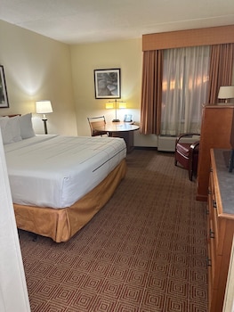 Room, 1 King Bed, Non Smoking