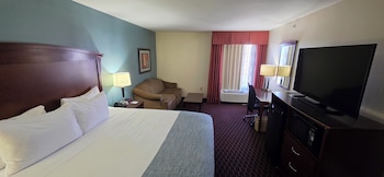 Room, 1 King Bed, Non Smoking