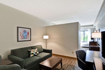 Suite, 1 King Bed, Non Smoking
