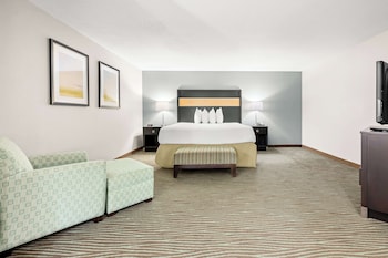 Standard Room, 1 King Bed, Non Smoking, Refrigerator & Microwave (Oversized Room)