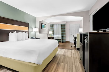 Standard Room, 1 King Bed, Non Smoking, Refrigerator & Microwave