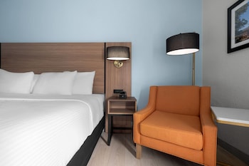 Deluxe Room, 1 King Bed, Non Smoking