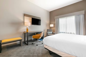 Standard Room, 1 King Bed, Non Smoking