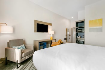 Room, 1 King Bed, Non Smoking