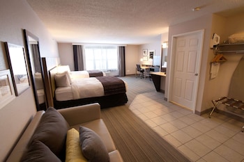 Studio Suite, Multiple Beds, Non Smoking