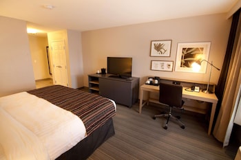 Room, 1 King Bed, Non Smoking