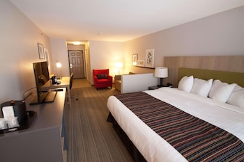 Studio Suite, 1 King Bed, Non Smoking