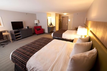 Studio Suite, Multiple Beds, Non Smoking