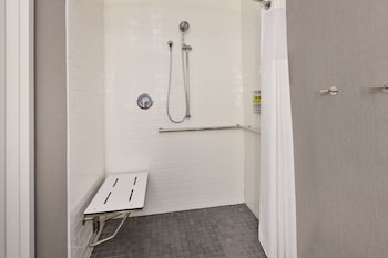 Studio Suite, 1 King Bed, Roll-in Shower, Kitchen (Mobility Accessible)