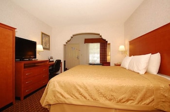 Room, 1 King Bed, Non Smoking