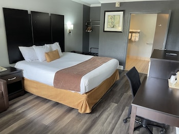 Basic Room, 1 King Bed, Non Smoking
