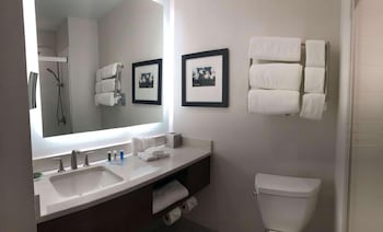 Suite, 1 Bedroom, Non Smoking