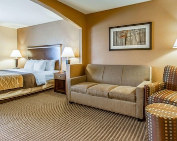 Suite, 1 King Bed, Accessible, Non Smoking