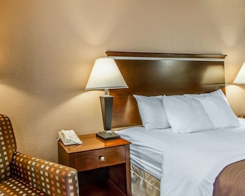 Standard Room, 1 King Bed, Non Smoking