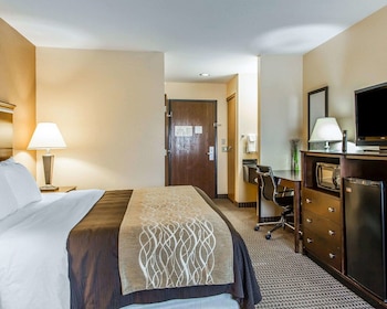 Suite, 1 King Bed with Sofa bed, Non Smoking